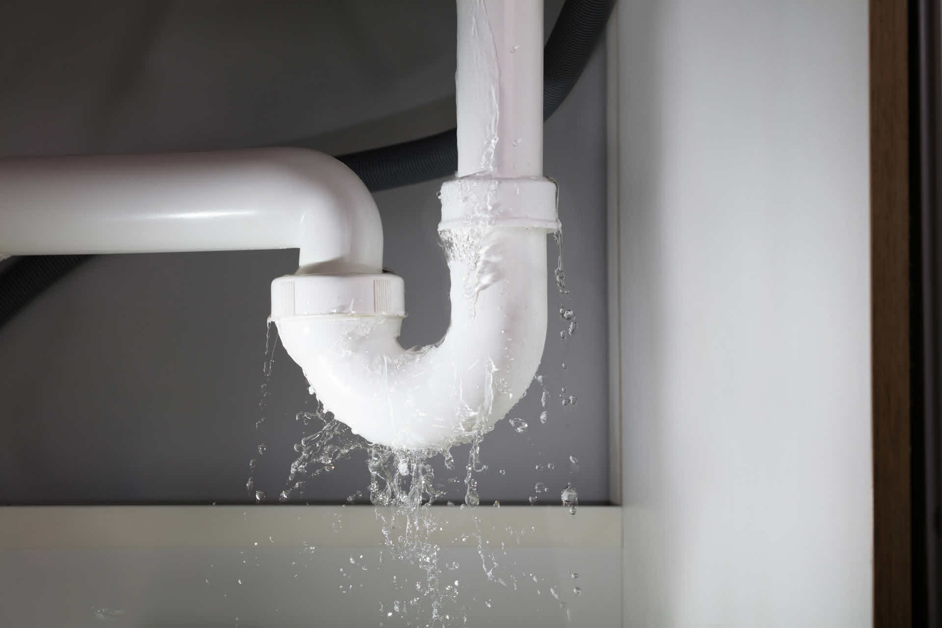 A full service plumbing company, we fix dripping faucets, clogged drains, frozen or broken pipes, garbage disposals and anything else that's a plumbing problem!